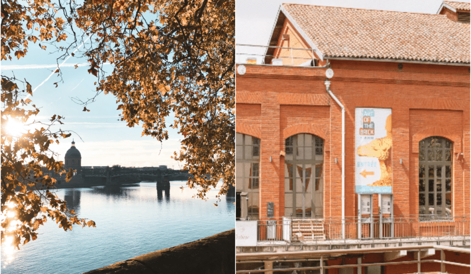 Novembre 2023 : 9 idées de sorties et d’activités à Toulouse